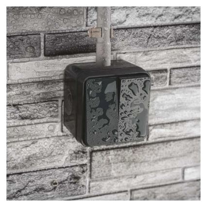 Interruptor doméstico de doble pulsador, función alterna, n.º 6+6, IP55, antracita