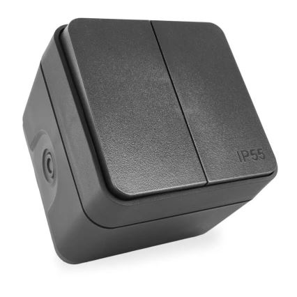 Interruptor doméstico de doble pulsador, función alterna, n.º 6+6, IP55, antracita