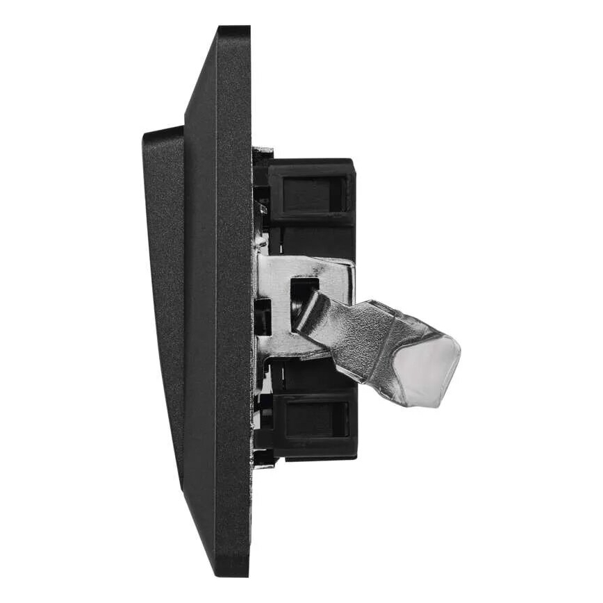 Interruptor doméstico en serie 250V/10A antracita
