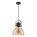 ITALUX - Lámpara colgante DARLENA 1xE27/40W/230V negro/marrón