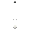 ITALUX - Lámpara colgante LUPUS 1xG9/25W/230V negro