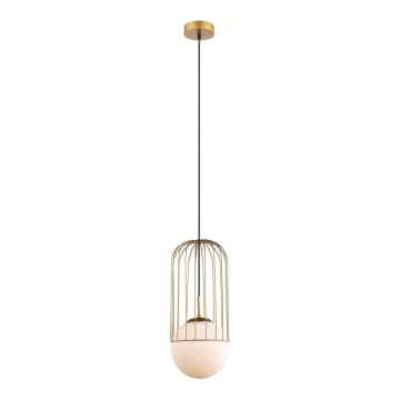 ITALUX - Lámpara colgante MATTY 1xE27/40W/230V diá. 20 cm dorado