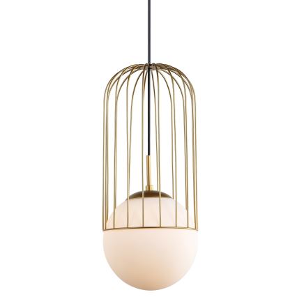 ITALUX - Lámpara colgante MATTY 1xE27/40W/230V diá. 20 cm dorado