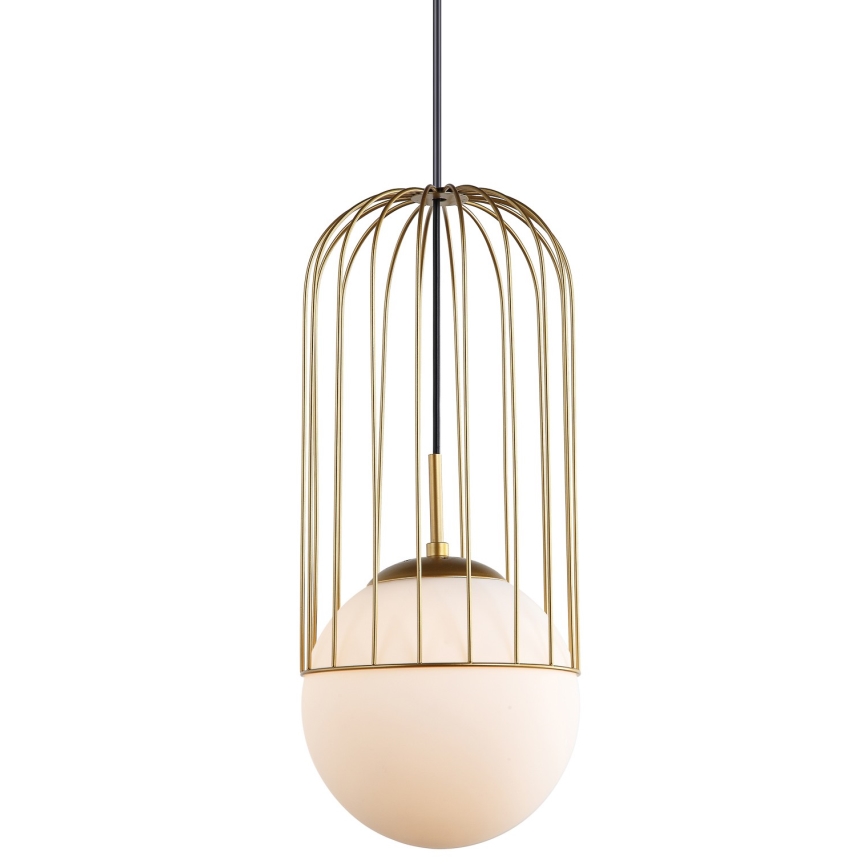 ITALUX - Lámpara colgante MATTY 1xE27/40W/230V diá. 20 cm dorado