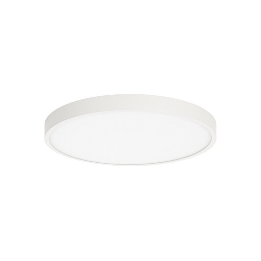 ITALUX - Plafón LED RIBERIO LED/30W/230V 3000K blanco