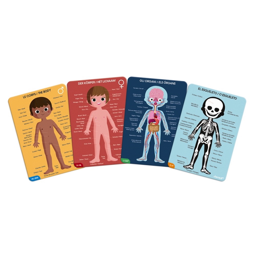 Janod - Puzzle educativo infantil 225 piezas cuerpo humano