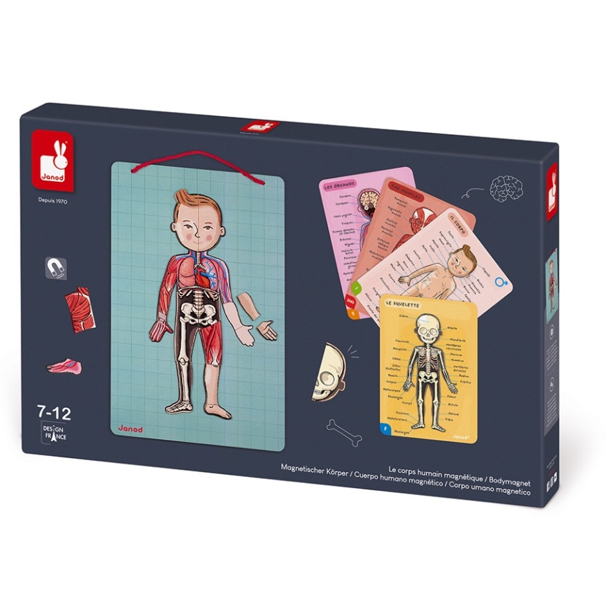 Janod - Puzzle magnético BODYMAGNET cuerpo humano