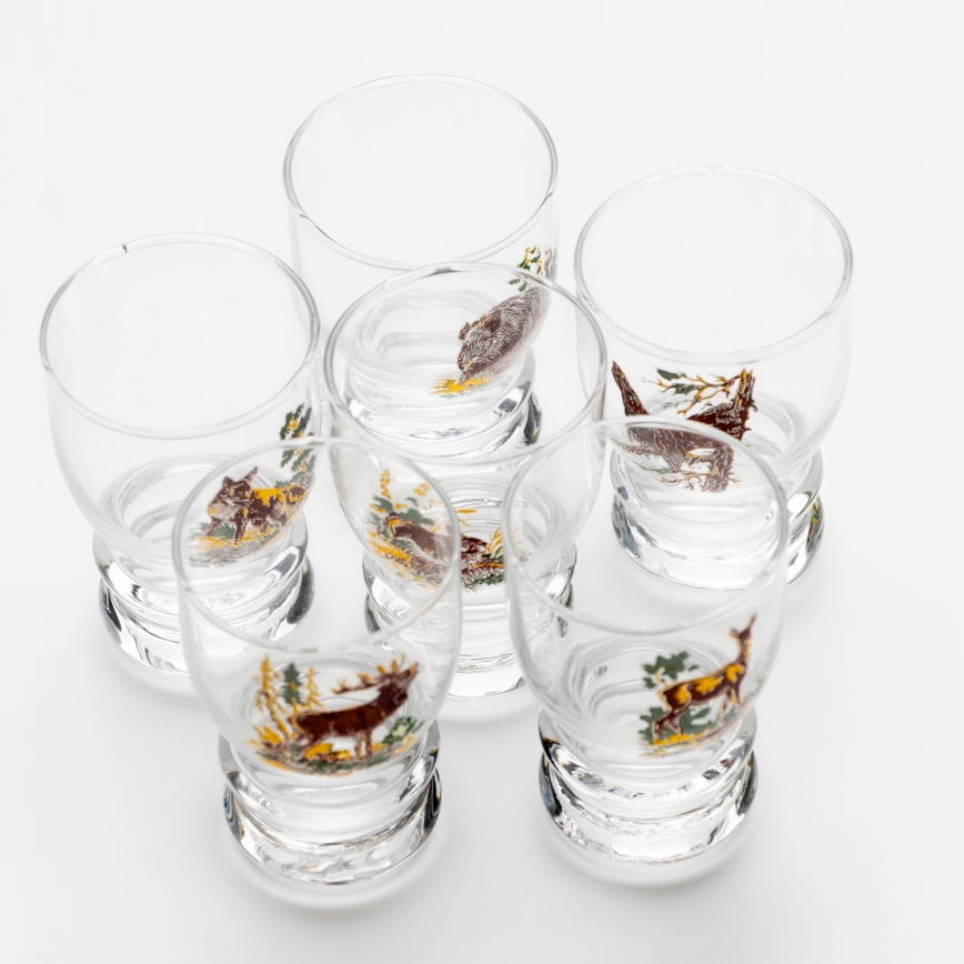 Juego de 6 copas de licor transparentes - motivo de caza