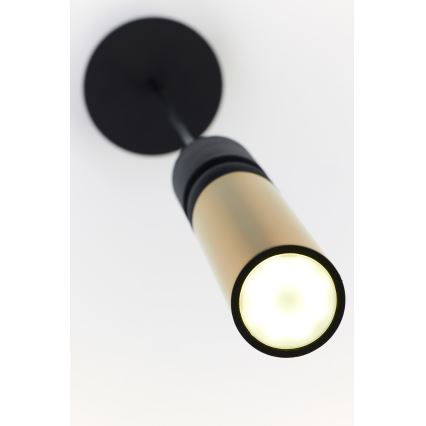 Jupiter 2006 - Lámpara colgante ALAS 1xGU10/10W/230V dorado/negro