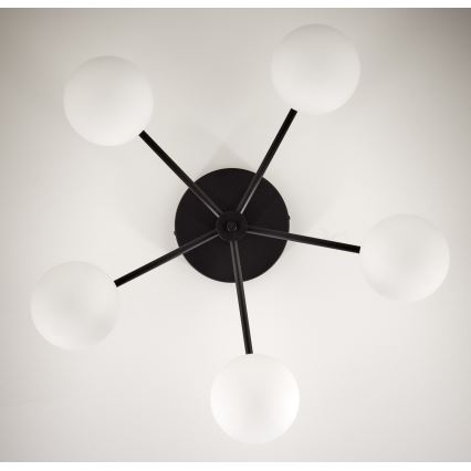 Jupiter 2049 - Lámpara de techo de superficie PRATO 5xG9/14W/230V negro/blanco