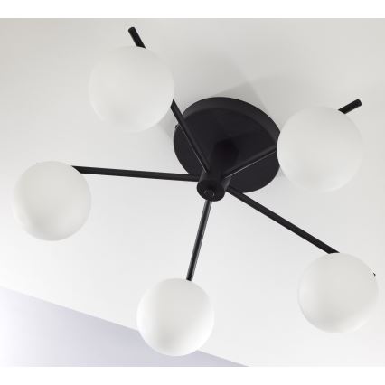 Jupiter 2049 - Lámpara de techo de superficie PRATO 5xG9/14W/230V negro/blanco