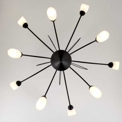 Jupiter 2056 - Lámpara colgante con barra GLORIOSA 10xG9/14W/230V negra