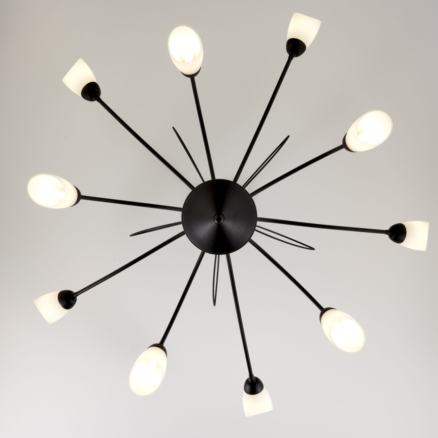 Jupiter 2056 - Lámpara colgante con barra GLORIOSA 10xG9/14W/230V negra