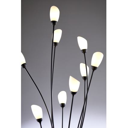 Jupiter 2058 - Lámpara de pie GLORIOSA 9xG9/14W/230V negra