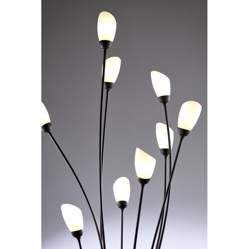 Jupiter 2058 - Lámpara de pie GLORIOSA 9xG9/14W/230V negra