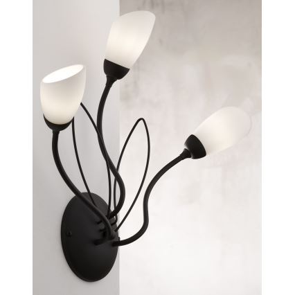 Jupiter 2059 - Aplique de pared GLORIOSA 3xG9/14W/230V negro