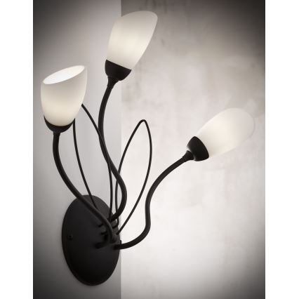 Jupiter 2059 - Aplique de pared GLORIOSA 3xG9/14W/230V negro