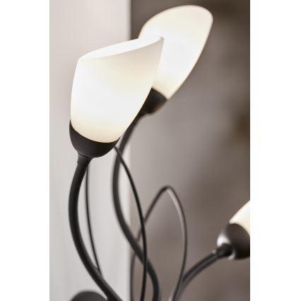 Jupiter 2059 - Aplique de pared GLORIOSA 3xG9/14W/230V negro