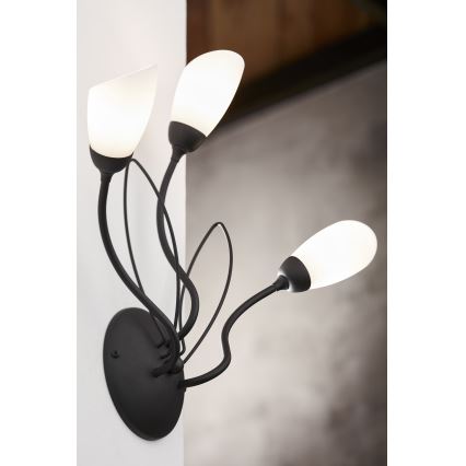 Jupiter 2059 - Aplique de pared GLORIOSA 3xG9/14W/230V negro