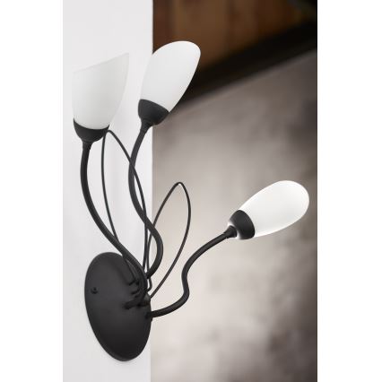 Jupiter 2059 - Aplique de pared GLORIOSA 3xG9/14W/230V negro