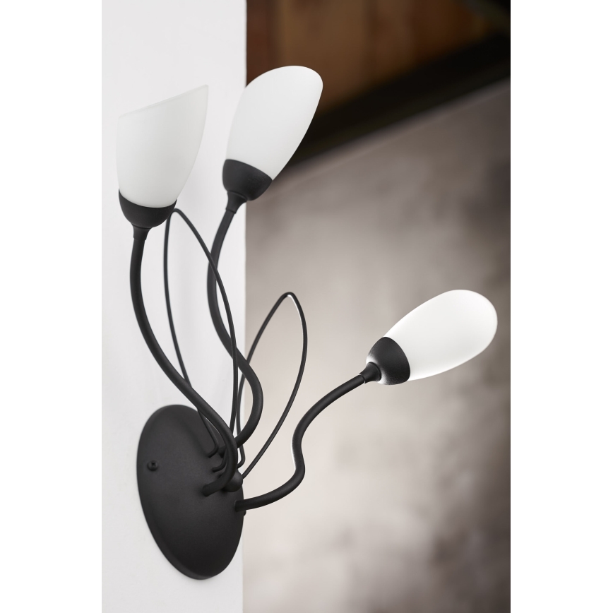 Jupiter 2059 - Aplique de pared GLORIOSA 3xG9/14W/230V negro