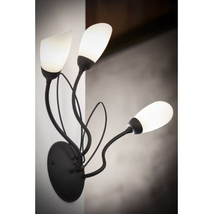 Jupiter 2059 - Aplique de pared GLORIOSA 3xG9/14W/230V negro