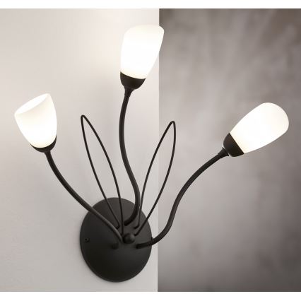 Jupiter 2059 - Aplique de pared GLORIOSA 3xG9/14W/230V negro