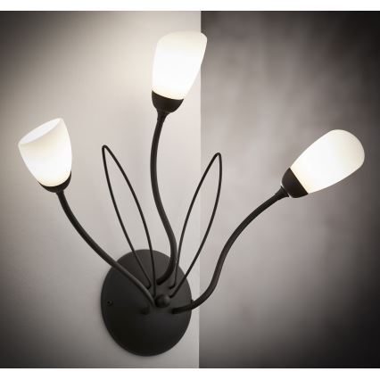 Jupiter 2059 - Aplique de pared GLORIOSA 3xG9/14W/230V negro