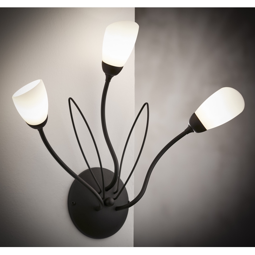 Jupiter 2059 - Aplique de pared GLORIOSA 3xG9/14W/230V negro