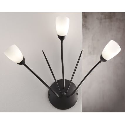 Jupiter 2059 - Aplique de pared GLORIOSA 3xG9/14W/230V negro
