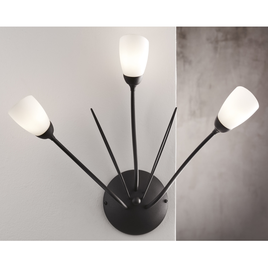 Jupiter 2059 - Aplique de pared GLORIOSA 3xG9/14W/230V negro