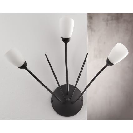 Jupiter 2059 - Aplique de pared GLORIOSA 3xG9/14W/230V negro