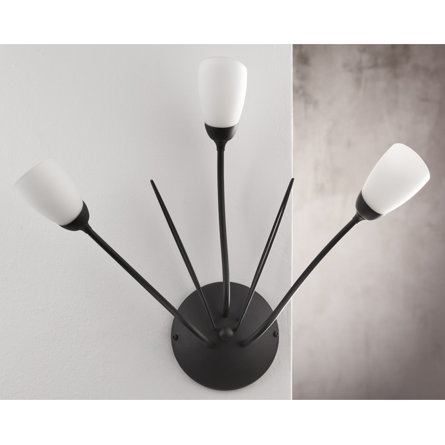 Jupiter 2059 - Aplique de pared GLORIOSA 3xG9/14W/230V negro