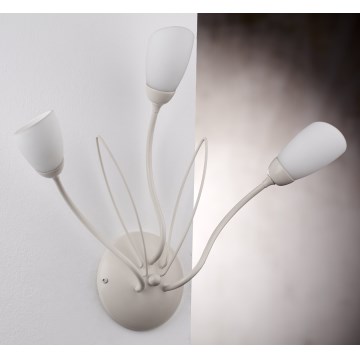 Jupiter 2064 - Aplique de pared GLORIOSA 3xG9/14W/230V en color crema