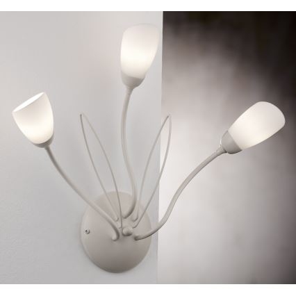 Jupiter 2064 - Aplique de pared GLORIOSA 3xG9/14W/230V en color crema