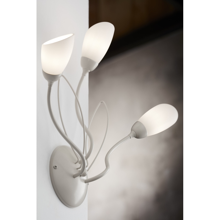 Jupiter 2064 - Aplique de pared GLORIOSA 3xG9/14W/230V en color crema