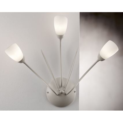 Jupiter 2064 - Aplique de pared GLORIOSA 3xG9/14W/230V en color crema