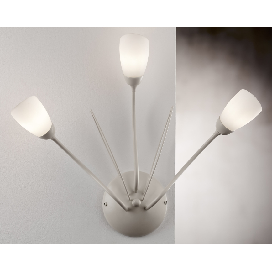 Jupiter 2064 - Aplique de pared GLORIOSA 3xG9/14W/230V en color crema