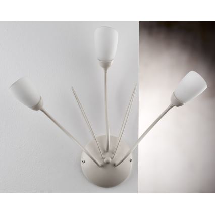 Jupiter 2064 - Aplique de pared GLORIOSA 3xG9/14W/230V en color crema