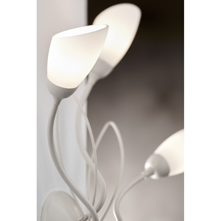 Jupiter 2064 - Aplique de pared GLORIOSA 3xG9/14W/230V en color crema