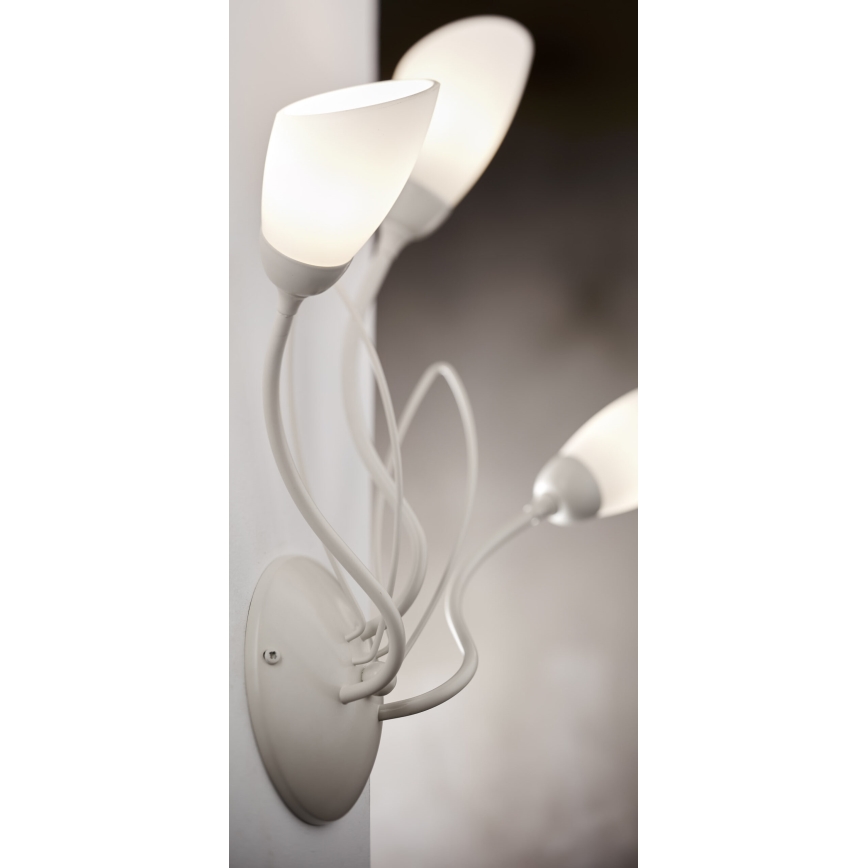 Jupiter 2064 - Aplique de pared GLORIOSA 3xG9/14W/230V en color crema