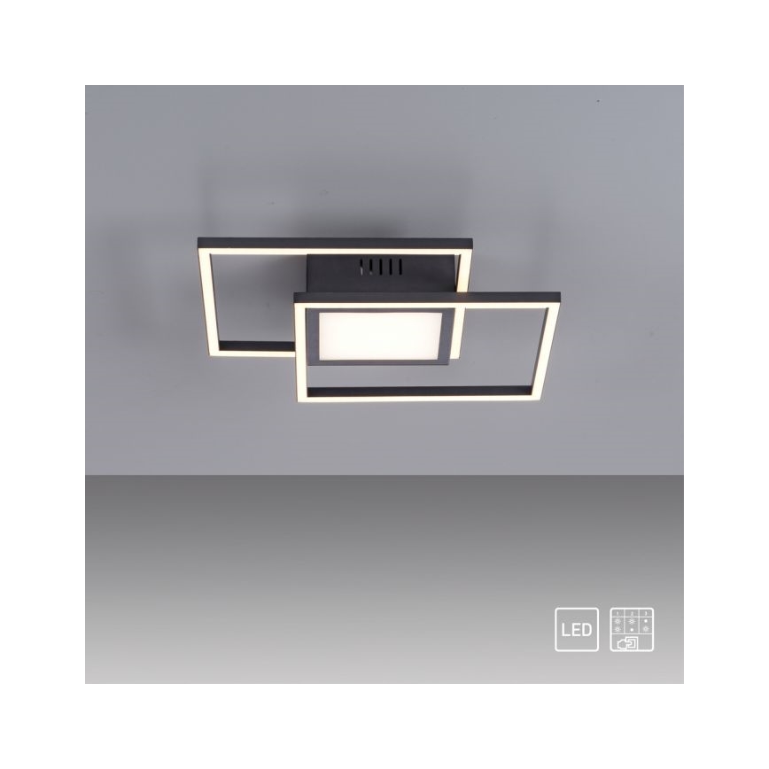 JUST LIGHT. 14144-18 - Plafón LED ASMIN LED/26W/230V