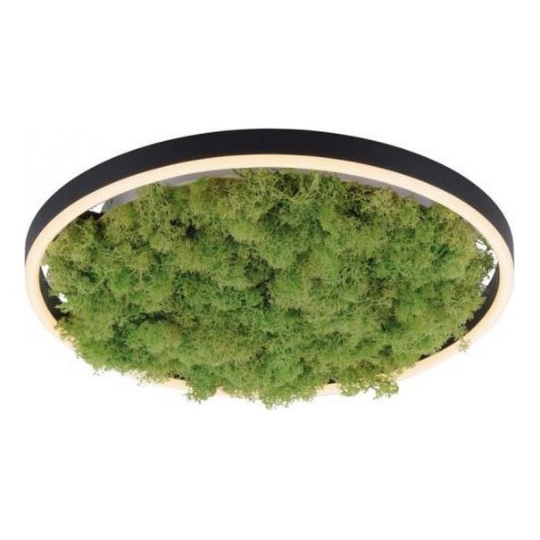 JUST LIGHT. 15391-66 - Plafón LED regulable VERDE RITU LED/20W/230V