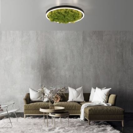 JUST LIGHT. 15391-66 - Plafón LED regulable VERDE RITU LED/20W/230V