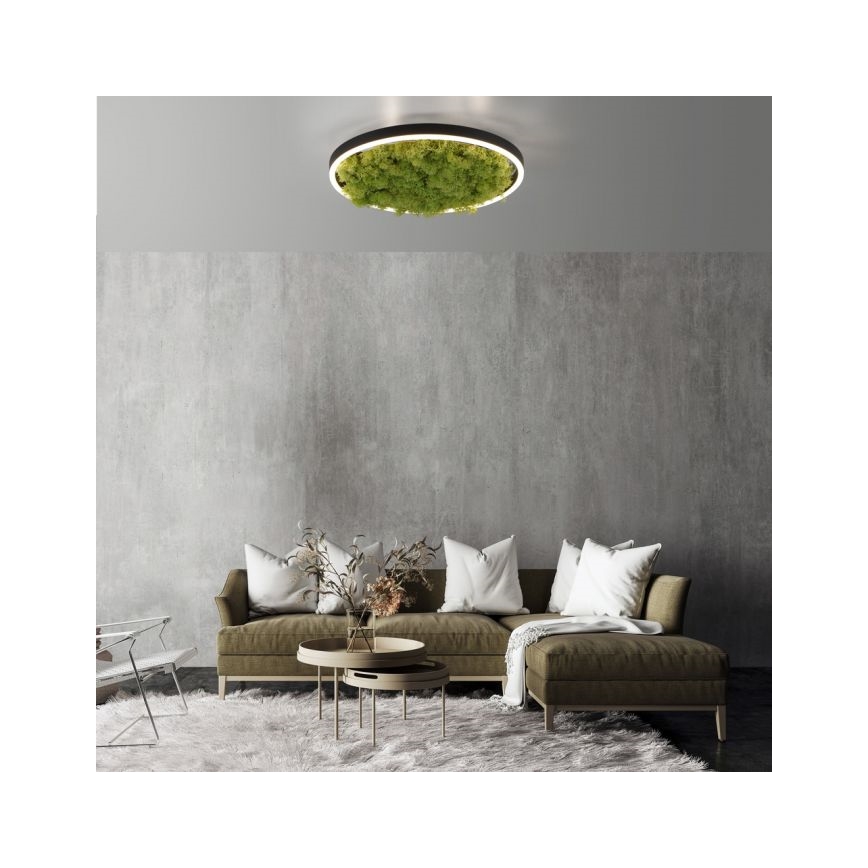JUST LIGHT. 15391-66 - Plafón LED regulable VERDE RITU LED/20W/230V