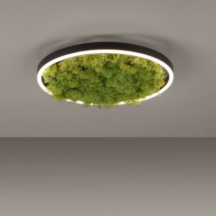 JUST LIGHT. 15391-66 - Plafón LED regulable VERDE RITU LED/20W/230V