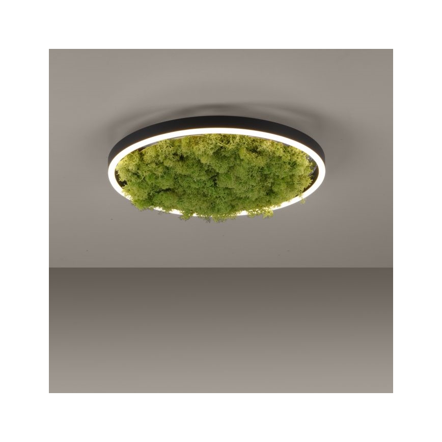 JUST LIGHT. 15391-66 - Plafón LED regulable VERDE RITU LED/20W/230V