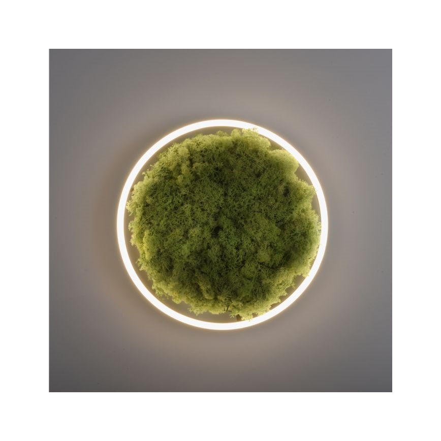 JUST LIGHT. 15391-66 - Plafón LED regulable VERDE RITU LED/20W/230V
