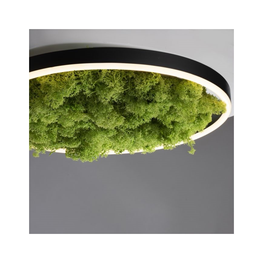 JUST LIGHT. 15391-66 - Plafón LED regulable VERDE RITU LED/20W/230V