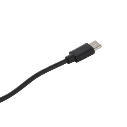 JUST LIGHT. 19260-18 - Lámpara LED de exterior táctil regulable ABERA LED/3W/3,7V 2000 mAh USB IP54 negro